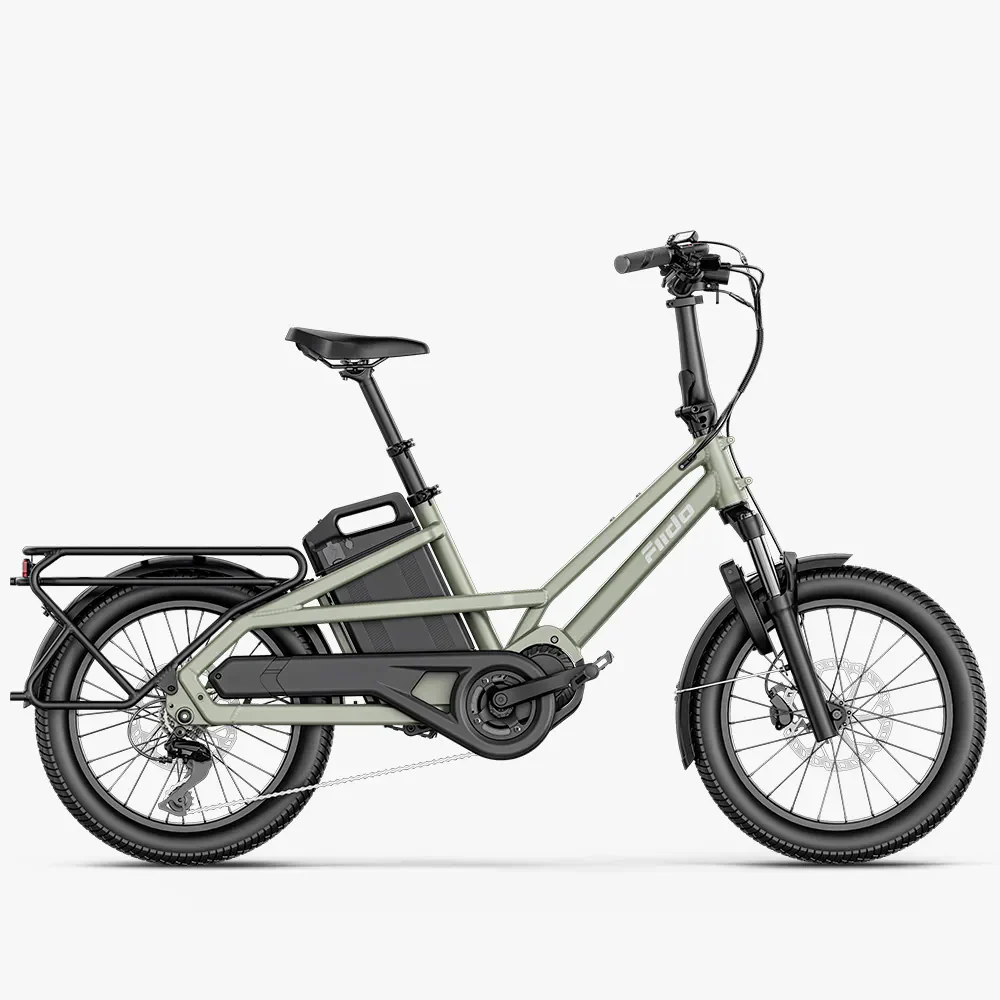 36v Elektrische Fiets