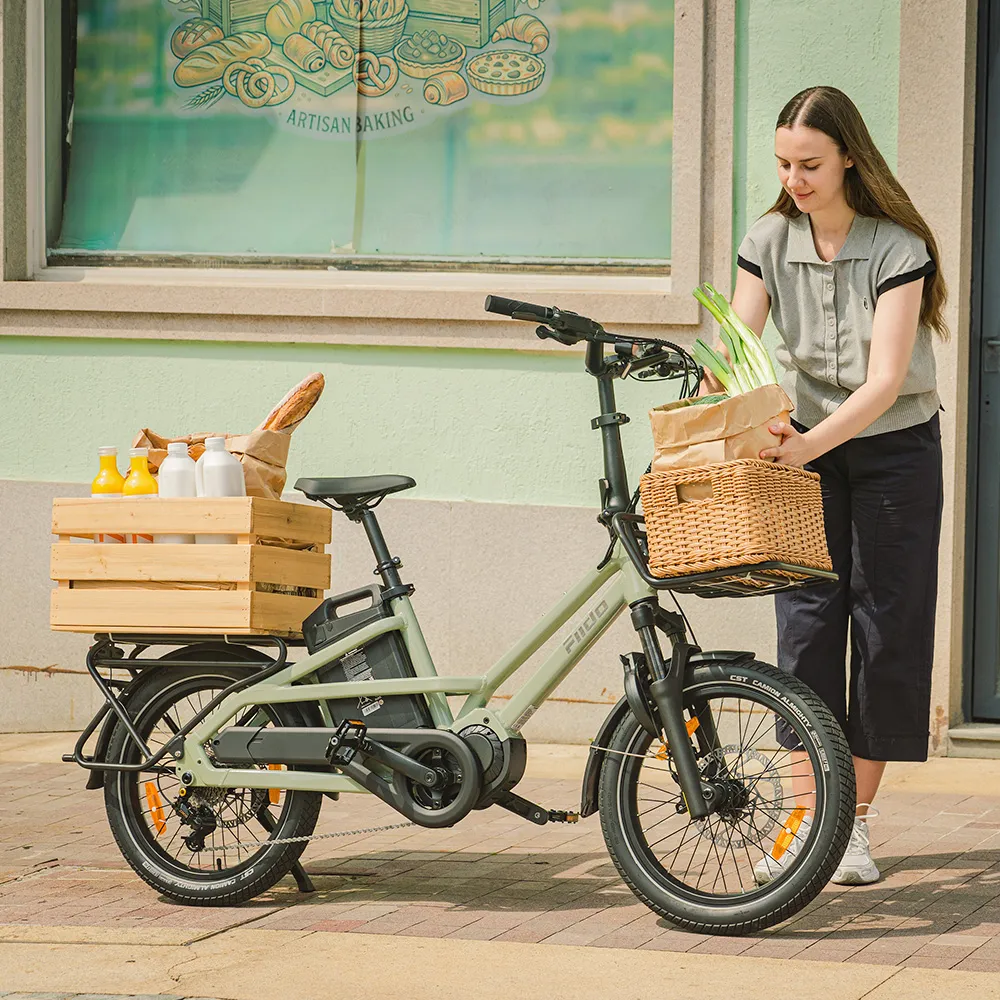 Fiido T3 Stedelijke Elektrische Gezinsbakfiets - Image 3