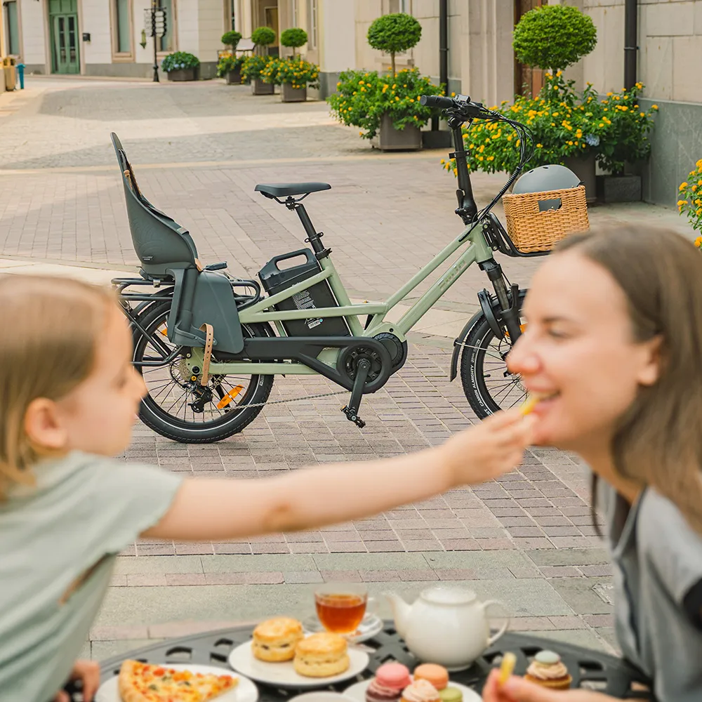 Fiido T3 Stedelijke Elektrische Gezinsbakfiets - Image 4
