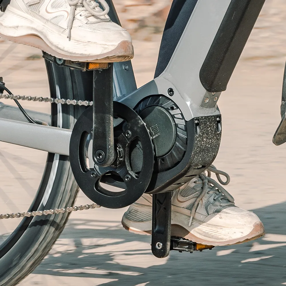Fiido Nomads Pro Elektrische Trekking Fiets - Image 4