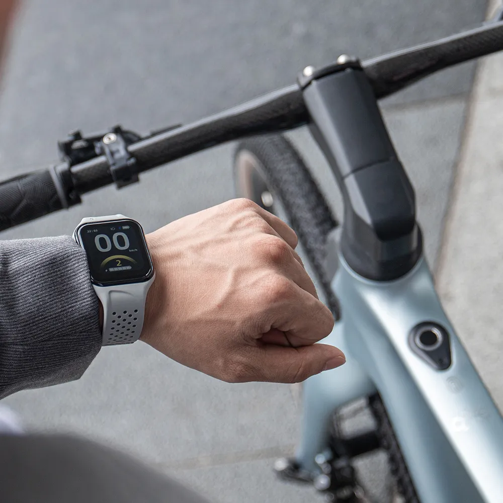 Fiido Air Ultralichte E-bike van Koolstofvezel - Image 10