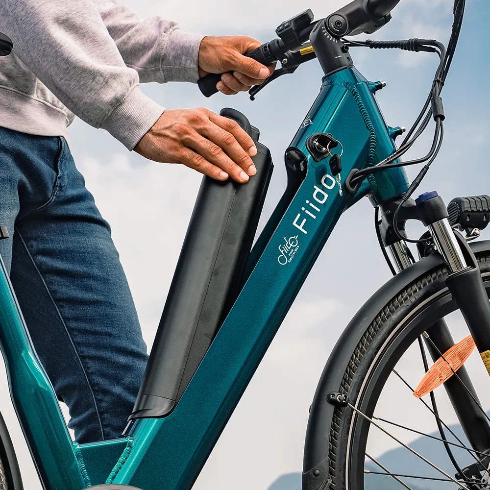Fiido C11 Urban Lichtgewicht Elektrische Fiets - Image 5