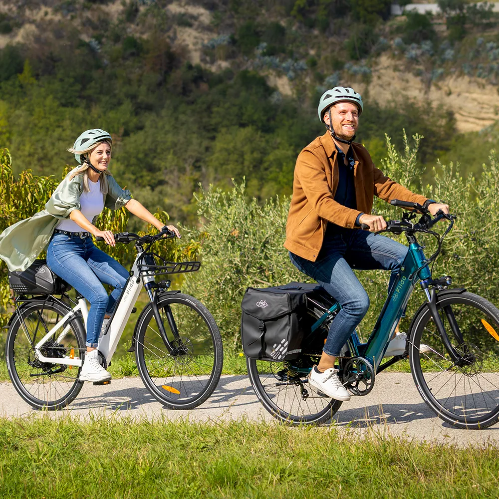 Fiido C11 Urban Lichtgewicht Elektrische Fiets - Image 6