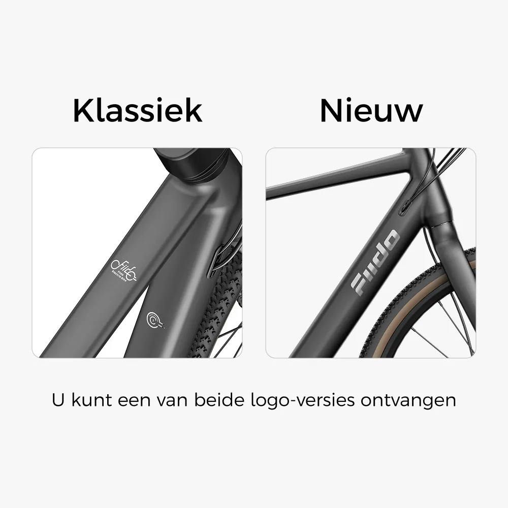Fiido C21 E-Gravel & Stads-E-Bike - Image 3