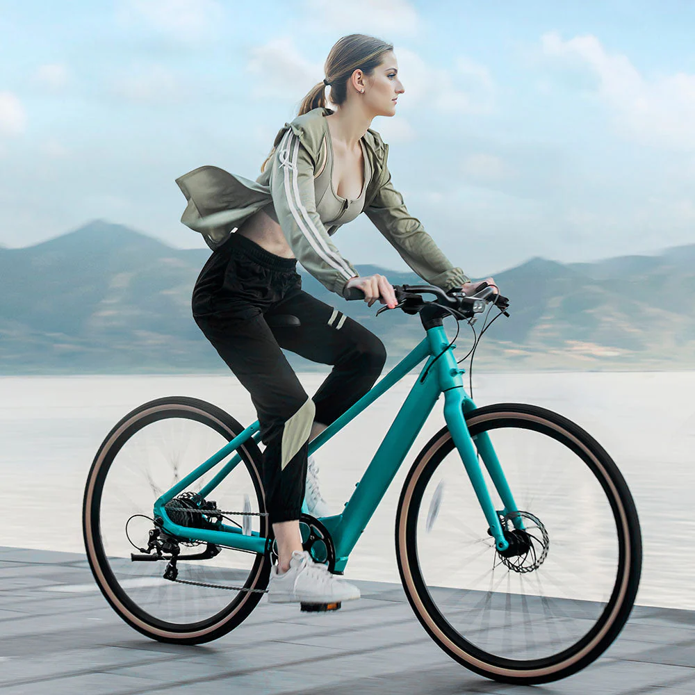 Fiido E-Gravel C22 Elektrische Fiets - Image 3