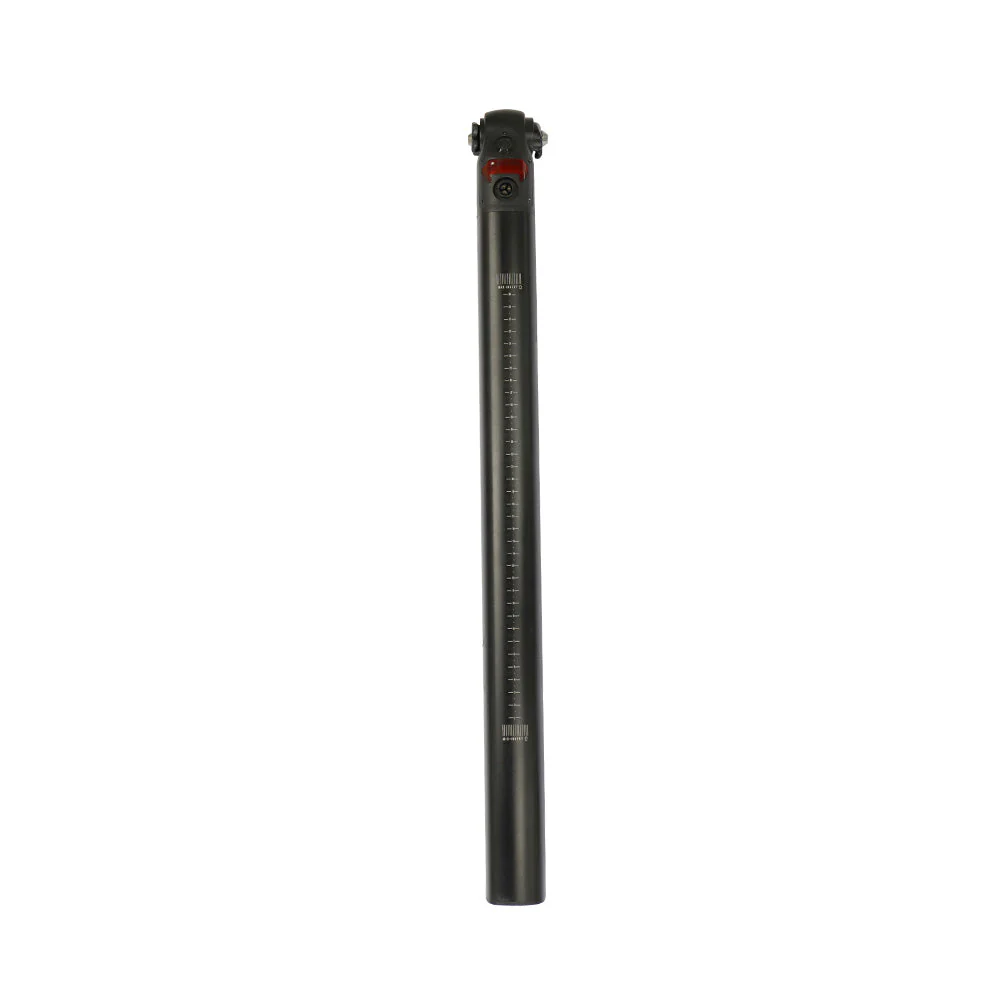 Fiido Electric Bike Extra Batterij voor D21