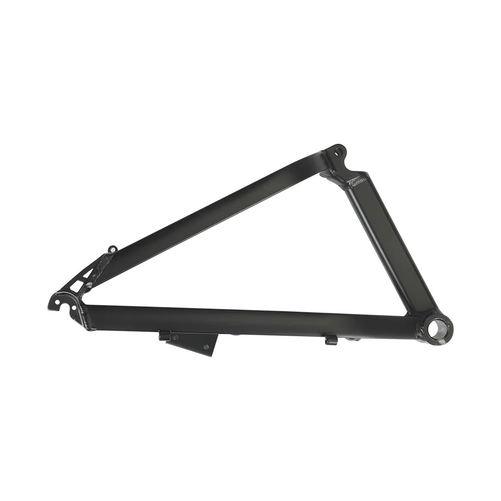 Fiido elektrische fiets achterframe voor M1 Pro (2024)