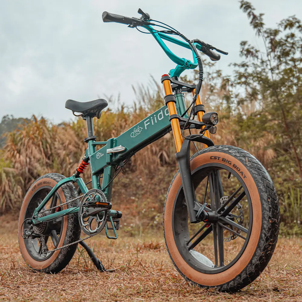 Fiido M1 Pro Fatbike Elektrische Crossfiets - Image 5