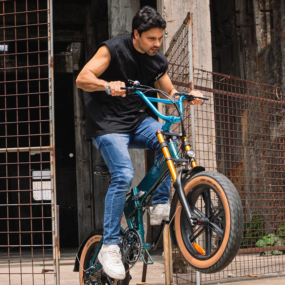 Fiido M1 Pro Fatbike Elektrische Crossfiets - Image 9
