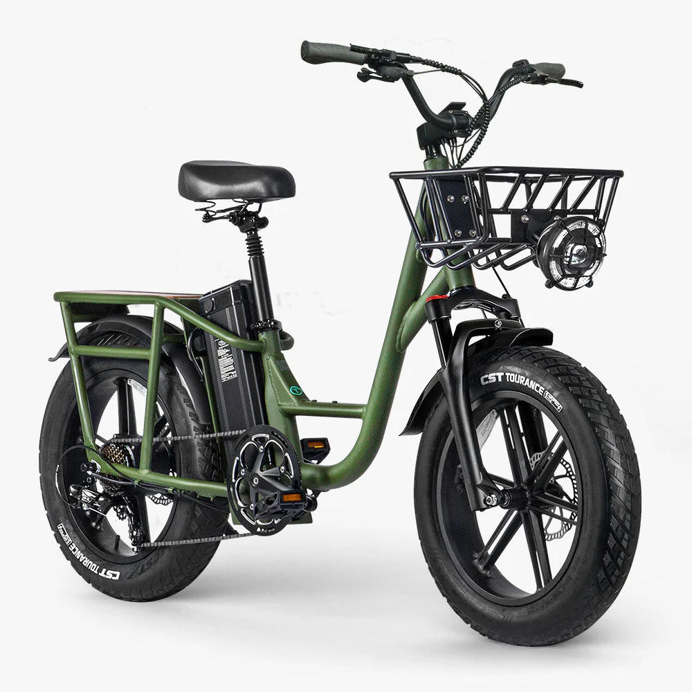 Fiido T1 Pro Fatbike Elektrische Bakfiets - Image 5