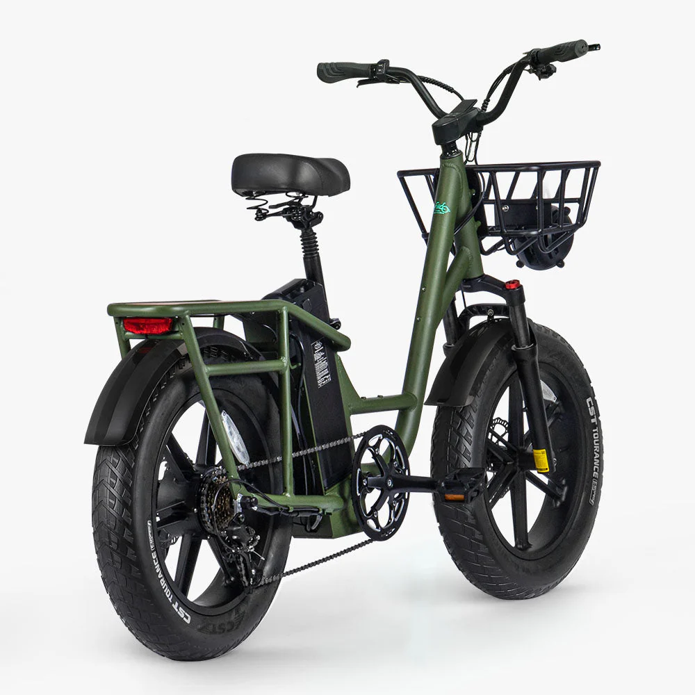 Fiido T1 Pro Fatbike Elektrische Bakfiets - Image 6