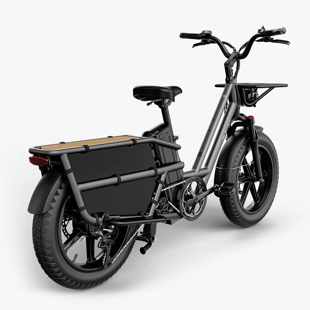 Fiido T2 elektrische bakfiets: 200 kg laadvermogen, 136,26 km actieradius - Image 14
