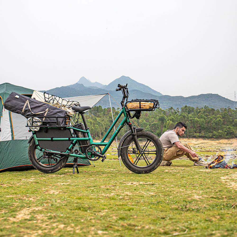 Fiido T2 elektrische bakfiets: 200 kg laadvermogen, 136,26 km actieradius - Image 6