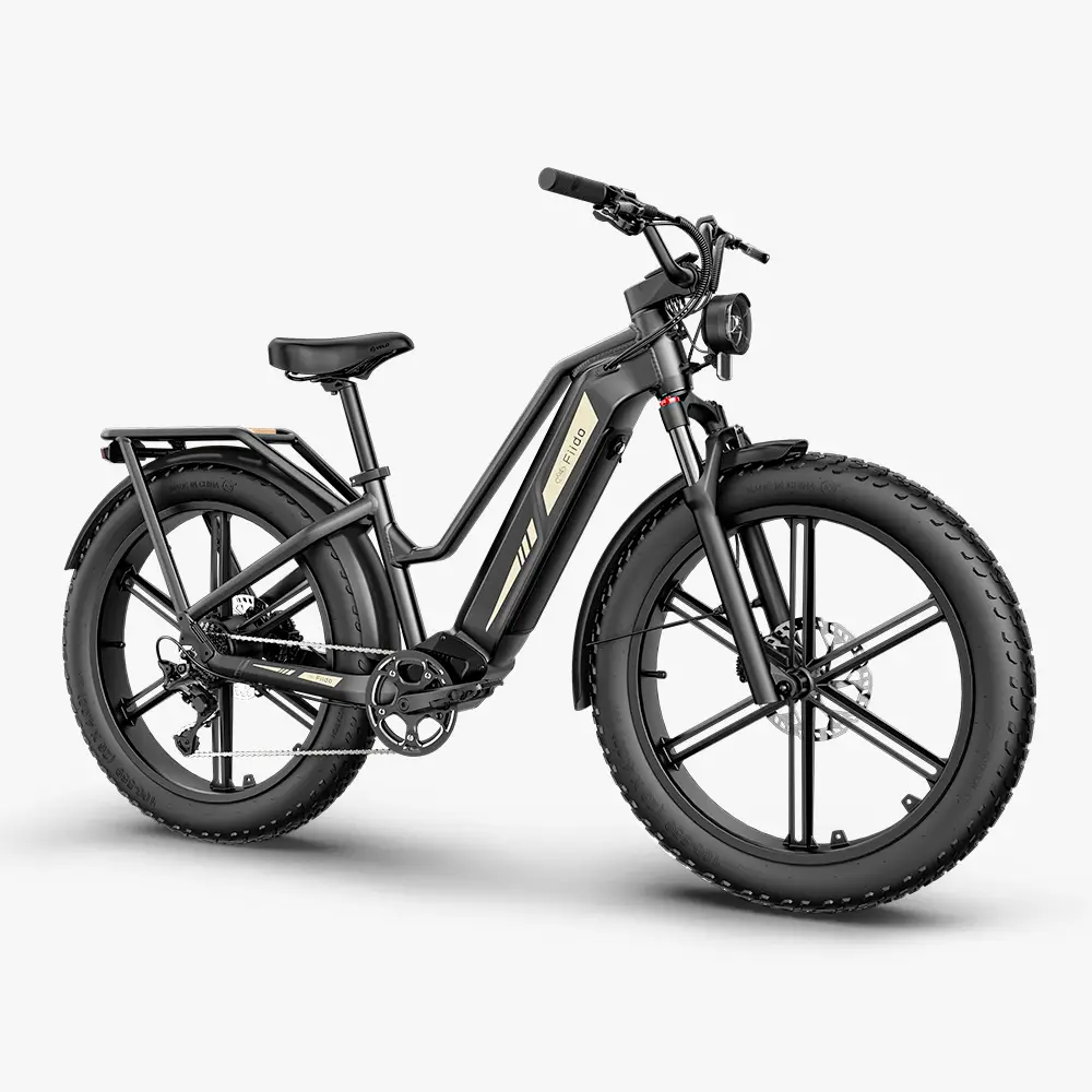 Titan Fat Tire Jacht- en Toer-E-Bike - Groot Bereik - Image 8