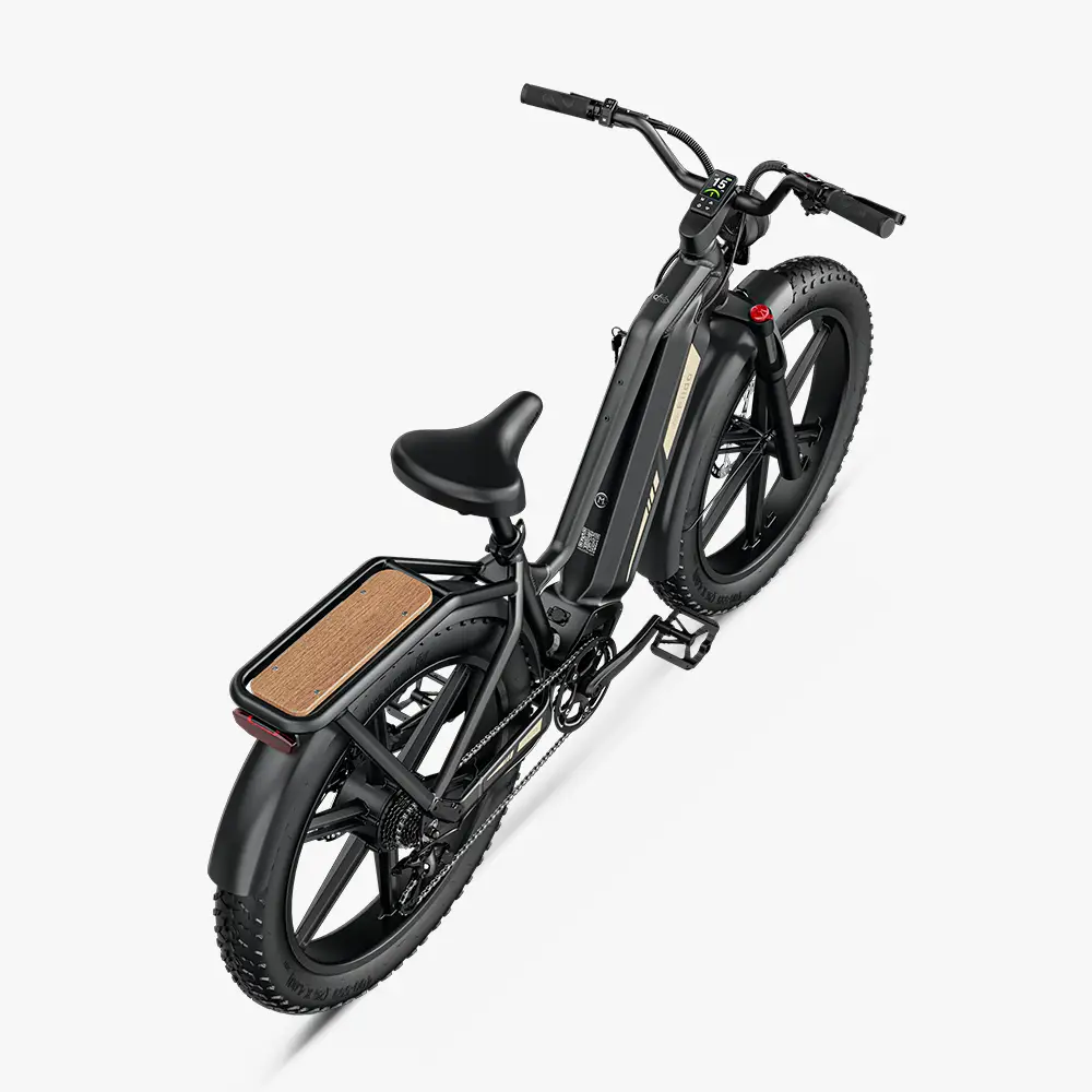 Titan Fat Tire Jacht- en Toer-E-Bike - Groot Bereik - Image 9